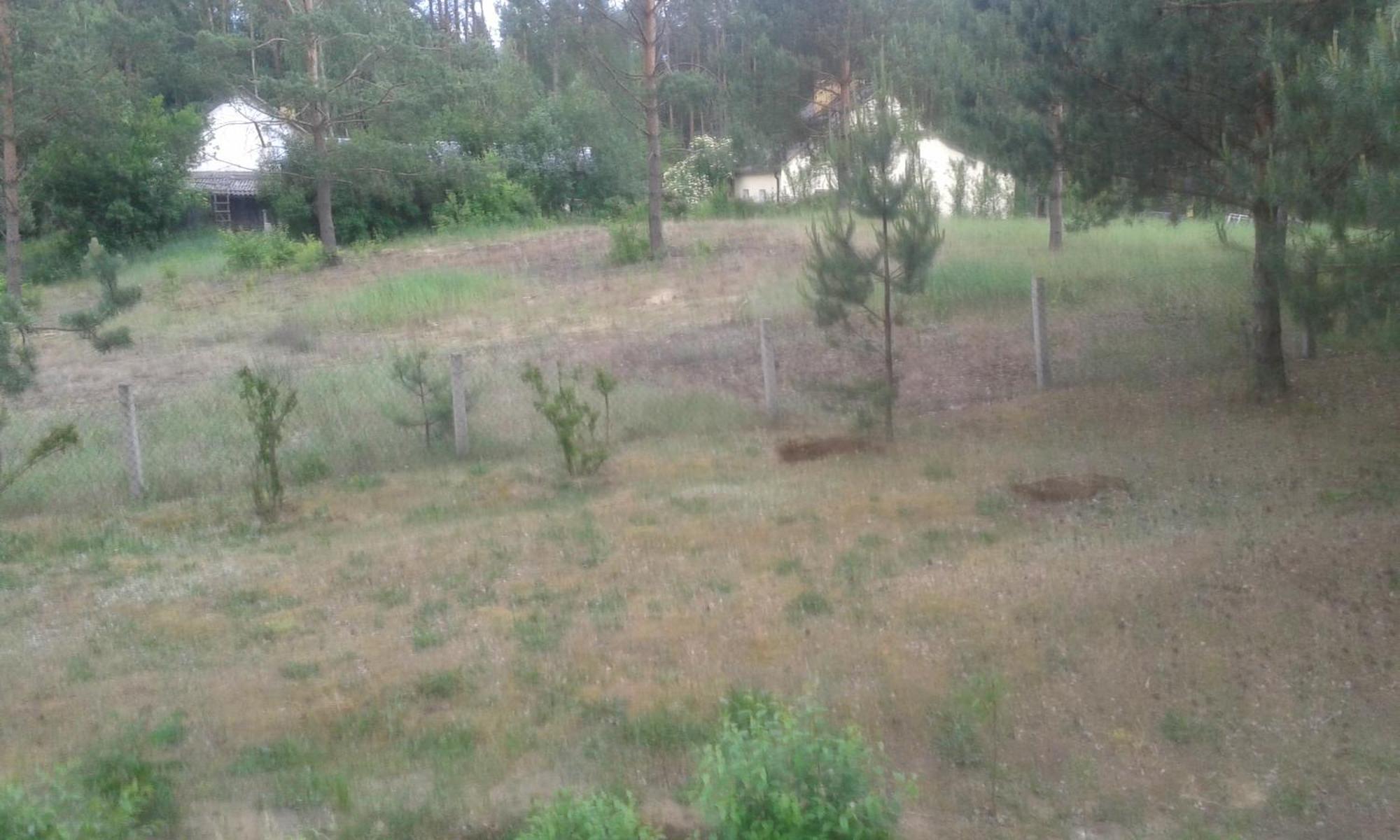 Domek Lesna Przystan Strekowizna Экстерьер фото