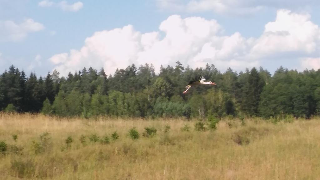 Domek Lesna Przystan Strekowizna Экстерьер фото